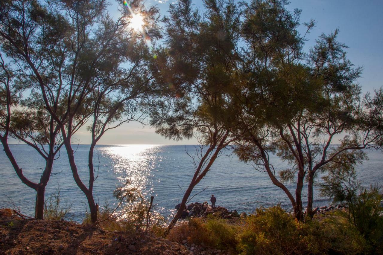 Abelomilos Exclusive Villa Imerovígli Eksteriør bilde